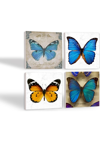 Kelebek Taş Bardak Altlığı Masaüstü Koruyucu Altlık 4 Parça Set 10x10cm Stone Coasters SC169 fiyatları