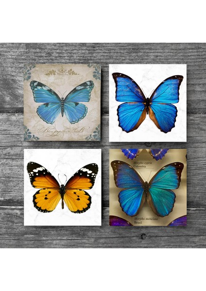 Kelebek Taş Bardak Altlığı Masaüstü Koruyucu Altlık 4 Parça Set 10x10cm Stone Coasters SC169 modelleri