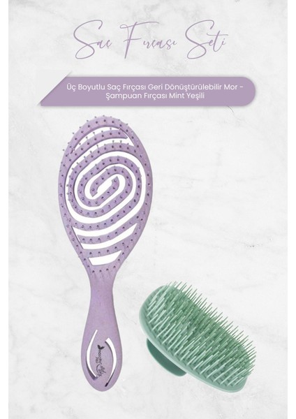 Üç Boyutlu Saç Fırçası Geri Dönüştürülebilir Mor ve Şampuan Fırçası Mint Yeşili