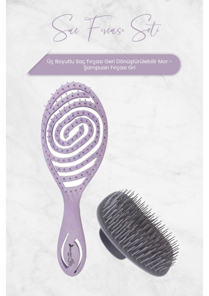 Üç Boyutlu Saç Fırçası Geri Dönüştürülebilir Mor ve Şampuan Fırçası Gri