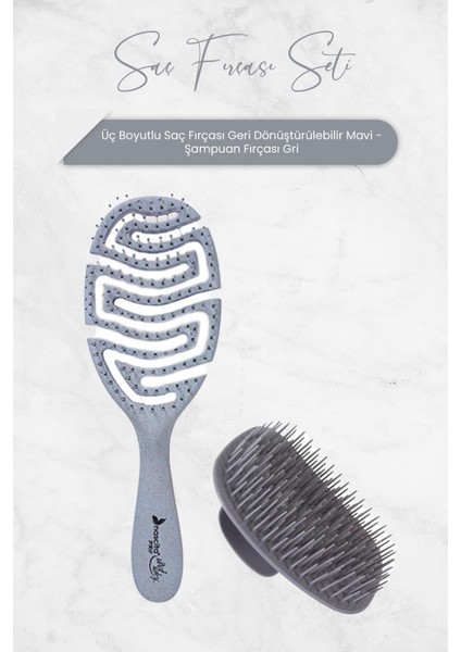 Üç Boyutlu Saç Fırçası Geri Dönüştürülebilir Mavi ve Şampuan Fırçası Gri