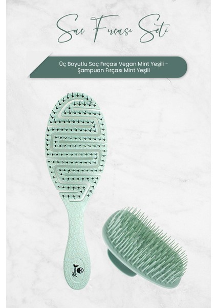 Üç Boyutlu Saç Fırçası Vegan Mint Yeşili ve Şampuan Fırçası Mint Yeşili