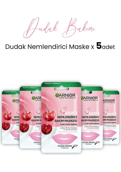 Dudak Nemlendiricisi Kağıt Bakım Maskesi 5 gr x 5 Adet