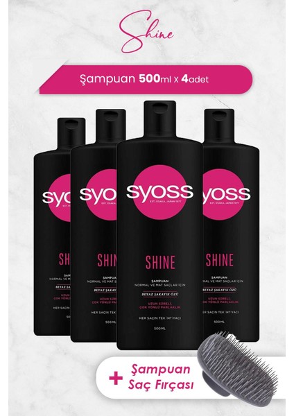 Şampuan Shine 500 ml x 4 Adet ve Şampuan Fırçası