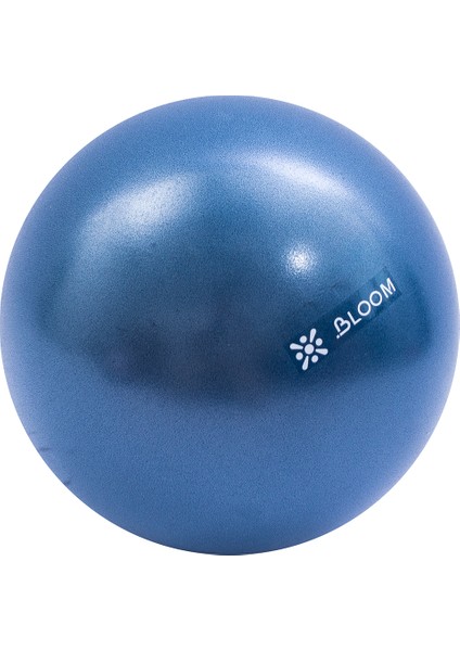 LB7000M 30 cm Mini Pilates Topu