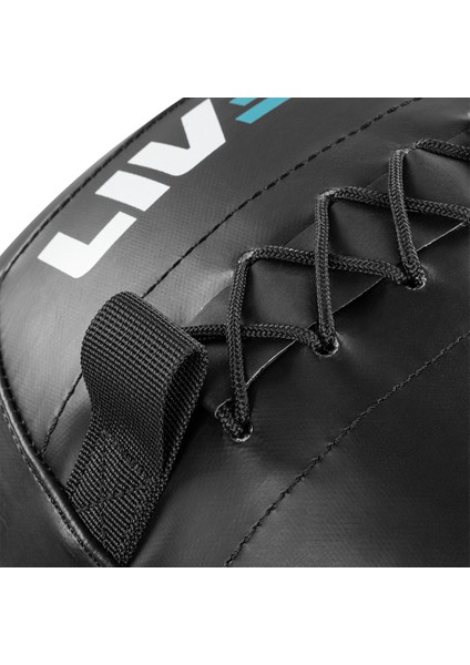 LP8103-10 10 kg Pro Duvar Topu-Wallball fiyatları