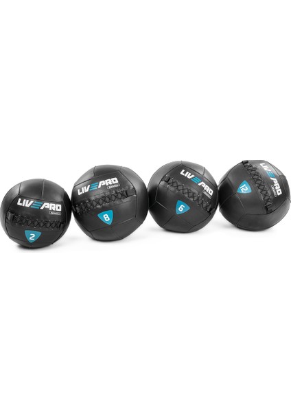LP8103-10 10 kg Pro Duvar Topu-Wallball fırsatları