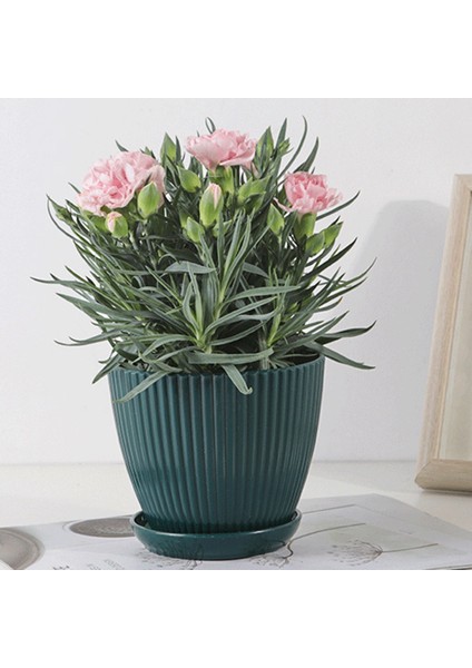 Bitkiler Için Plastik Ekici Saksılar, Drenaj Delikleri Ve Tabakları Ile 5 Paket 6 Inç Saksılar, Iç Mekan Dış Mekan D Için (Yurt Dışından) fırsatları