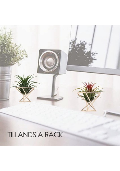3 Adet Geometrik Hava Tesisi Tutucu Airplants Raf Metal Bitkiler Standı Ekici Raflar Himmeli Dekor Tillandsia Konteynerler (Yurt Dışından)