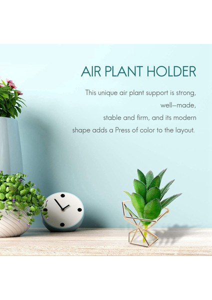 3 Adet Geometrik Hava Tesisi Tutucu Airplants Raf Metal Bitkiler Standı Ekici Raflar Himmeli Dekor Tillandsia Konteynerler (Yurt Dışından)