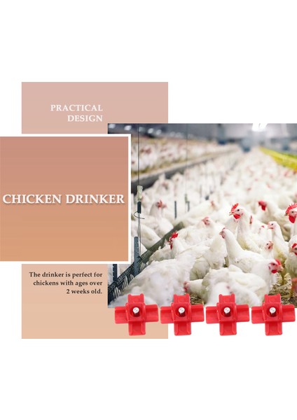 12 Adet Yatay Yan Montajlı Otomatik Kümes Hayvanları Nipeller Temiz Tiryakisi Suluk Tavuk Veya Bıldırcın Için (Yurt Dışından)