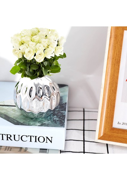 Seramik Küçük Vazo Küçük Çiçek Kabartmalı Balık Dudak Desen El Sanatları Ev Dekorasyonu (Gümüş) (Yurt Dışından) fırsatları