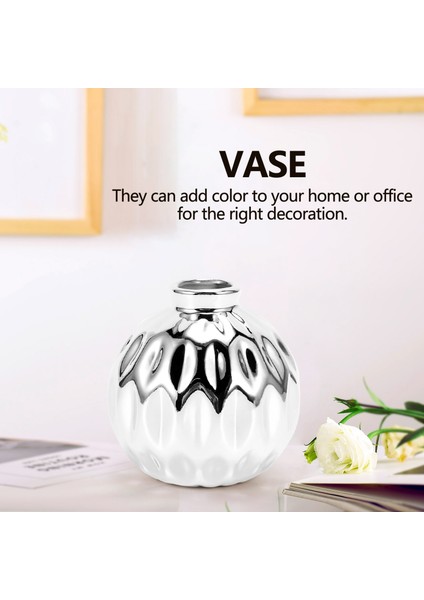 Seramik Küçük Vazo Küçük Çiçek Kabartmalı Balık Dudak Desen El Sanatları Ev Dekorasyonu (Gümüş) (Yurt Dışından) indirimleri