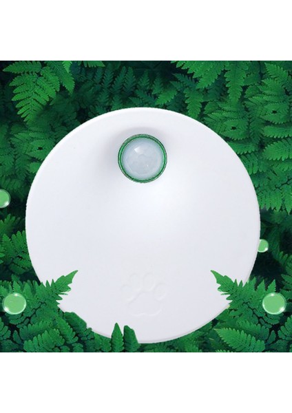 Kediler Için Koku Arıtma Çöp Kutusu Koku Giderici Şarj Edilebilir Hava Temizleyici Evcil Hayvanlar Koku Giderme Araçları (Yurt Dışından) fiyatları