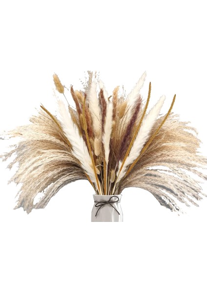 120 Adet Kurutulmuş Pampas Çim Buketi Boho Çiçekler Ev Masa Süsü, Oturma, Rustik Çiftlik Evi Partisi (Yurt Dışından)