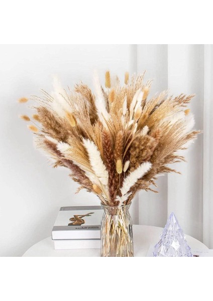 120 Adet Kurutulmuş Pampas Çim Buketi Boho Çiçekler Ev Masa Süsü, Oturma, Rustik Çiftlik Evi Partisi (Yurt Dışından) fiyatları