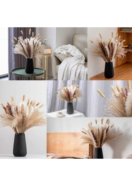 120 Adet Kurutulmuş Pampas Çim Buketi Boho Çiçekler Ev Masa Süsü, Oturma, Rustik Çiftlik Evi Partisi (Yurt Dışından) fırsatları