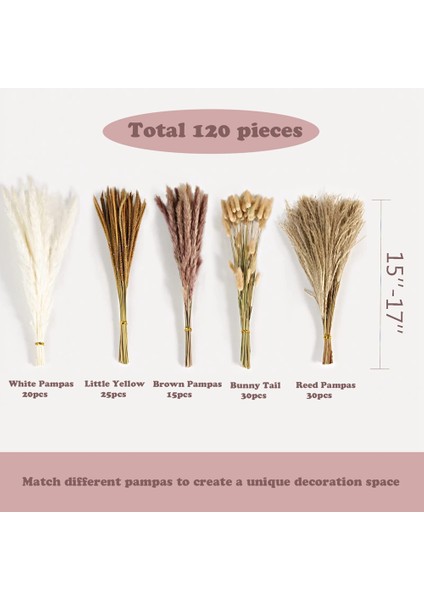 120 Adet Kurutulmuş Pampas Çim Buketi Boho Çiçekler Ev Masa Süsü, Oturma, Rustik Çiftlik Evi Partisi (Yurt Dışından) indirimleri