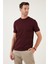 Pamuklu Regular Fit Bisiklet Yaka Basic T Shirt Erkek T Shirt 59020201 2