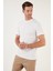 Pamuklu Regular Fit Bisiklet Yaka Basic T Shirt Erkek T Shirt 59020201 2