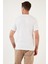 Pamuklu Regular Fit Bisiklet Yaka Basic T Shirt Erkek T Shirt 59020201 5