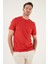 Pamuklu Regular Fit Bisiklet Yaka Basic T Shirt Erkek T Shirt 59020201 1