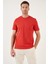 Pamuklu Regular Fit Bisiklet Yaka Basic T Shirt Erkek T Shirt 59020201 2