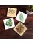 Vintage Çiçek, Yaprak Taş Bardak Altlığı Masaüstü Koruyucu Altlık 4 Parça Set 10x10cm Stone Coasters SC342 1