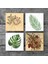 Vintage Çiçek, Yaprak Taş Bardak Altlığı Masaüstü Koruyucu Altlık 4 Parça Set 10x10cm Stone Coasters SC342 3