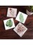 Stone Gül Çiçek, Yaprak Taş Bardak Altlığı – 4’lü Set, 10x10 cm Dekoratif Masaüstü Koruyucu Doğaltaş Altlık |SC351| 1
