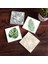 Stone Yaprak, Desen Taş Bardak Altlığı – 4’lü Set, 10x10 cm Dekoratif Masaüstü Koruyucu Doğaltaş Altlık |SC361| 1