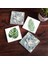 Yaprak, Desen Taş Bardak Altlığı Masaüstü Koruyucu Altlık 4 Parça Set 10x10cm Stone Coasters SC362 1
