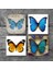 Kelebek Taş Bardak Altlığı Masaüstü Koruyucu Altlık 4 Parça Set 10x10cm Stone Coasters SC169 3