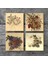 Stone Vintage Çiçek Taş Bardak Altlığı – 4’lü Set, 10x10 cm Dekoratif Masaüstü Koruyucu Doğaltaş Altlık |SC172| 3