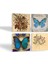 Stone Vintage Çiçek, Kelebek Taş Bardak Altlığı – 4’lü Set, 10x10 cm Dekoratif Masaüstü Koruyucu Doğaltaş Altlık |SC452| 2