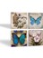 Kelebek Taş Bardak Altlığı Masaüstü Koruyucu Altlık 4 Parça Set 10x10cm Stone Coasters SC453 2