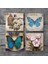 Kelebek Taş Bardak Altlığı Masaüstü Koruyucu Altlık 4 Parça Set 10x10cm Stone Coasters SC453 3