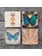 Stone Minimalist Soyut, Kelebek Taş Bardak Altlığı – 4’lü Set, 10x10 cm Dekoratif Masaüstü Koruyucu Doğaltaş Altlık |SC462| 3