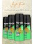 Jungle Fresh Erkek Deodorant Sprey 150 ml x 4 Adet 1