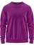 Erkek Sweatshirt Audax Mor 1