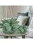 Etli Yastık Succulents Kaktüs Yastık Bahçe Veya Yeşil Aşıklar Veya Yatak Odası Ev Dekorasyonu Için Sevimli Succulents (Yurt Dışından) 3