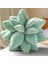 Etli Yastık Succulents Kaktüs Yastık Bahçe Veya Yeşil Aşıklar Veya Yatak Odası Ev Dekorasyonu Için Sevimli Succulents (Yurt Dışından) 5