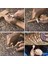 4 Adet Ahşap Oyma Kaşık Boş Kayın Ağacı Bitmemiş Ahşap El Sanatları Whittler Için Whittling Kiti (Yurt Dışından) 3