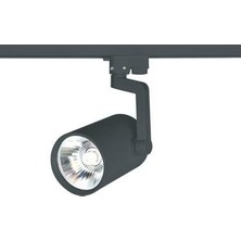 Cata CT-5334 30 Watt Castor Siyah Kasa Ray Spot Beyaz