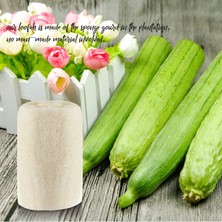 Breeze 100% Nature 6'Lı Paket (Yaklaşık 4-5" Uzunluk) Organik Lif Kabağı Spa Peeling Eksfoliye Edici Doğal Lif Kabağı Banyo Süngeri (Yurt Dışından)