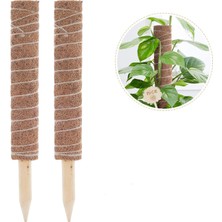 Breeze Moss Stick, 2'Li Paket 40 Cm Monstera Trellis, Uzatılabilir Doğal Bitki Çubuğu (Yurt Dışından)