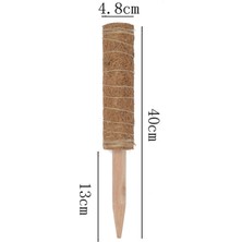 Breeze Moss Stick, 2'Li Paket 40 Cm Monstera Trellis, Uzatılabilir Doğal Bitki Çubuğu (Yurt Dışından)