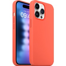 Buff iPhone 15 Pro Max Rubber Fit Kılıf Nectarine