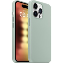 Buff iPhone 15 Pro Rubber Fit Kılıf Succulent