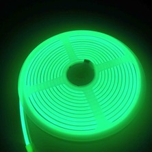 Cata 12 Volt Neon LED